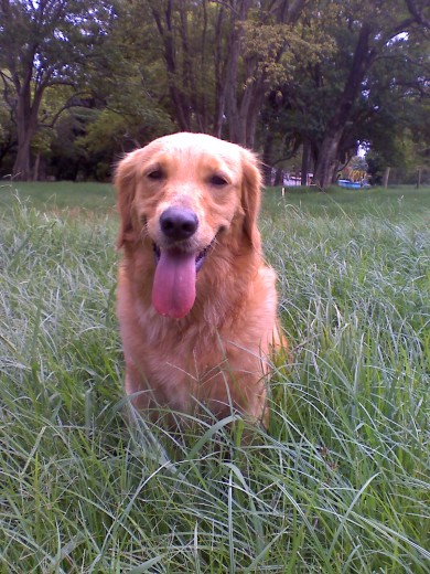 Jugando en el Parque